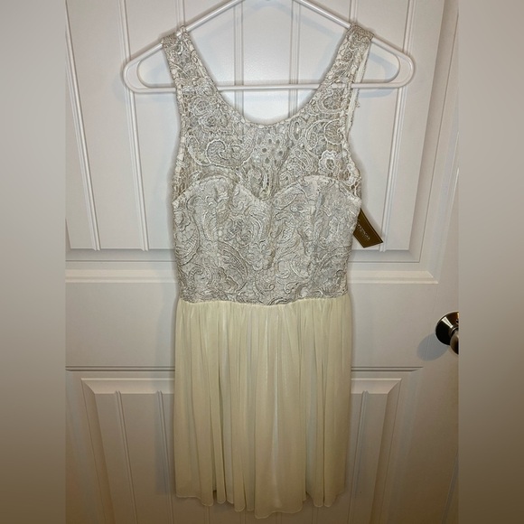 Francesca’s Ivort/Cream Sleeveless Drop Waist lace mini dress - Picture 2 of 7